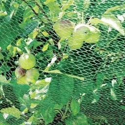 Vogelschutznetz - 2 x 10 m