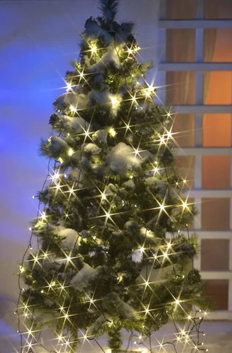 "Lichterschnüre 480 LEDs - je 3,2 m image"