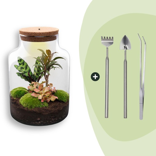 "Flaschengarten - Milky - ↕ 30 cm - Rake + Shovel + Tweezer image"