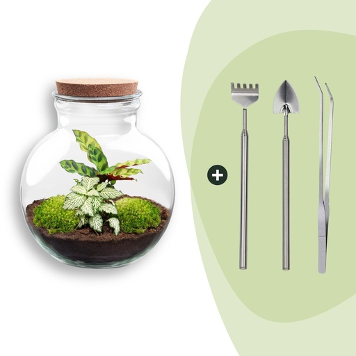 "Flaschengarten - Teddy - ↕ 26,5 cm - Rake + Shovel + Tweezer image"
