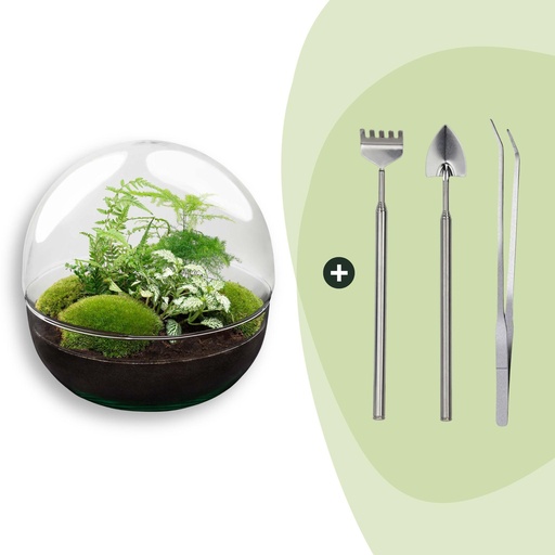 "Flaschengarten - Dome XL - ↕ 30 cm - Rake + Shovel + Tweezer image"