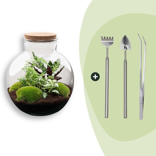 "Flaschengarten - Bolder Bob - ↕ 30 cm - Rake + Shovel + Tweezer image"