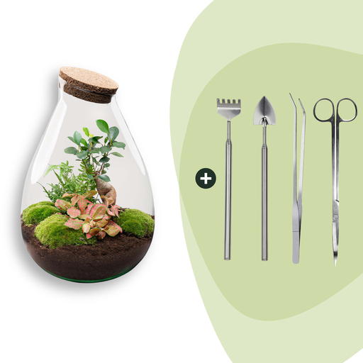 "Flaschengarten - Drop XL - ↕ 37 cm - Rake + Shovel + Tweezer + Scissors image"