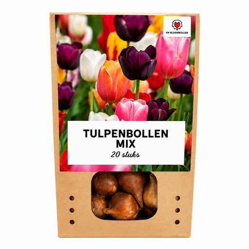 "Tulpe (Tulipa) – Blumenzwiebeln, 20 Zwiebeln image"