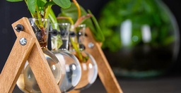 Stecklingsständer - 3 Glasvasen - Hydroponik-Vase für Stecklinge - Holz - Kultiv