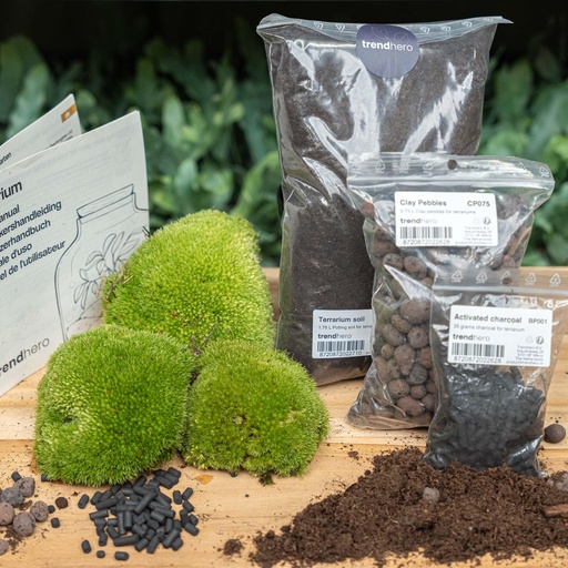 "Pflanzen-Terrarium Nachfüll- & Startpaket - Größe L/XL image"