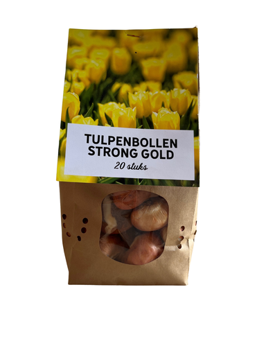 "Tulpe 'Strong Gold' (Tulipa) – Blumenzwiebeln, 20 Zwiebeln image"