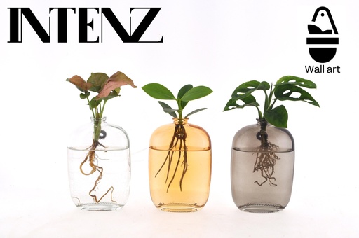 "Zimmerpflanzen Mix in Santiago Glas Wall Art - 3 Stücke - Ø7cm - ↕10cm image"