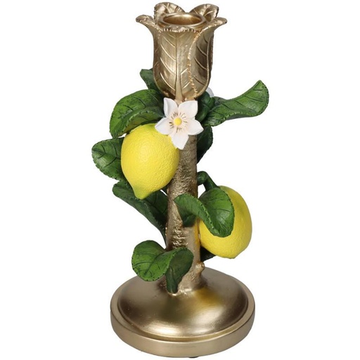 "Kerzenhalter mit Zitronenpflanze - Höhe ca. 22 cm image"