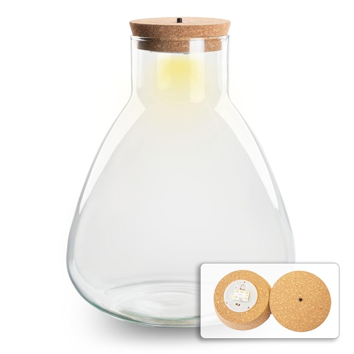 "Terrarium Flasche mit Beleuchtung - Sam - Ø 24,5 cm Höhe ca. 30 cm image"