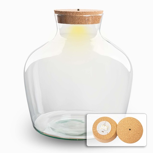 "Terrarium Flasche mit Beleuchtung - Fat Joe - Ø 29 cm Höhe ca. 30 cm image"