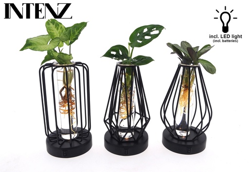 "Mix in Turijn Glas + Led - 3 Stücke - Topf-Ø 7 cm - Höhe ca. 20 cm image"