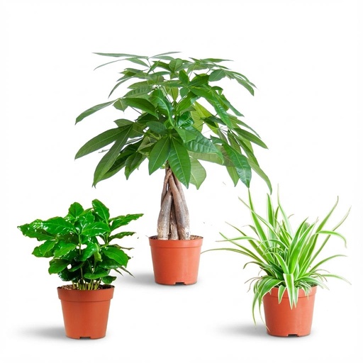 "Tierfreundliche Plant Box - klein - ohne Dekotopf - Topf-Ø 12 cm image"