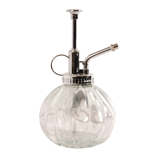 "Pflanzensprüher klar/silber - Glas - L 8,8 x D 8,8 x H 15,4 0,25 Liter image"