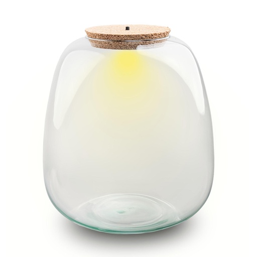 "Terrarium Flasche mit Beleuchtung - Emma - Ø 23 cm Höhe ca. 25 cm image"