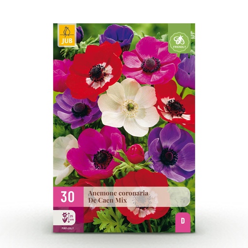 "Windröschen 'de Caen' (Anemone) – Blumenzwiebeln, 30 Zwiebeln image"