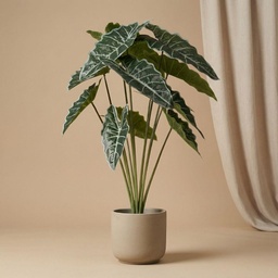 Alocasia 80cm - Artificial plant