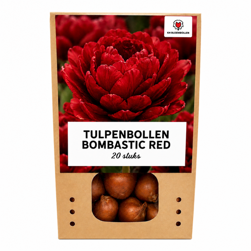 "Tulpe 'Bombastic Red' (Tulipa) – Blumenzwiebeln, 20 Zwiebeln image"