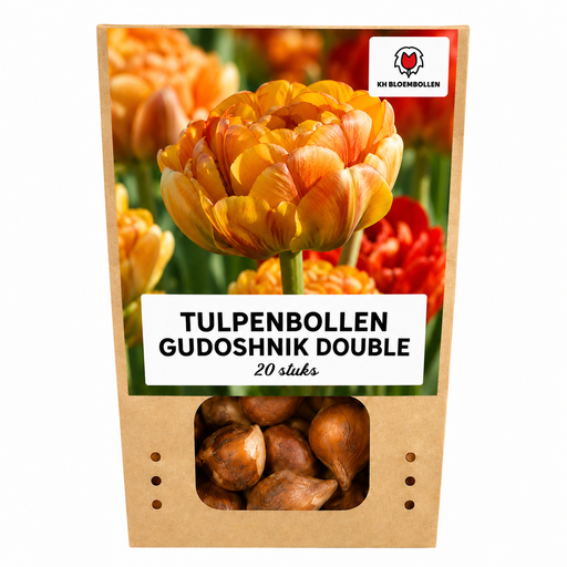 "Tulpe 'Gudoshnik Double' (Tulipa) – Blumenzwiebeln, 20 Zwiebeln image"