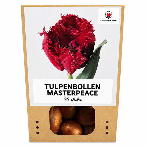 "Tulpe 'Masterpeace' (Tulipa) – Blumenzwiebeln, 20 Zwiebeln image"