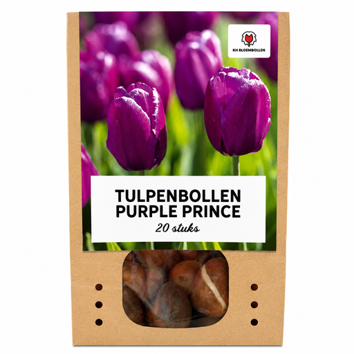 "Tulpe 'Purple Prince' (Tulipa) – Blumenzwiebeln, 20 Zwiebeln image"