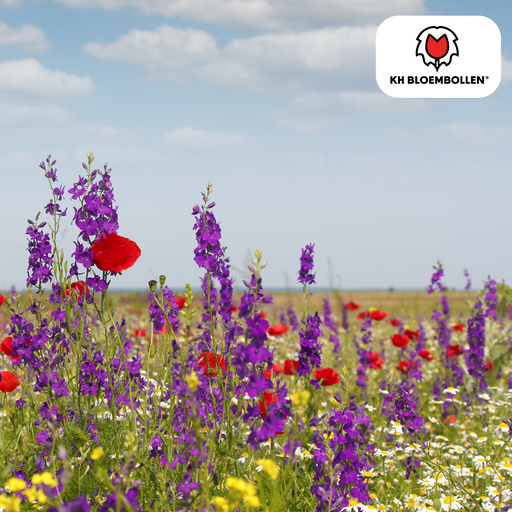"Wildblumensamen-Mischung – 100 Gramm | Gut für Bienen, Schmetterlinge & Biodiversität | ± 30–50 m² image"