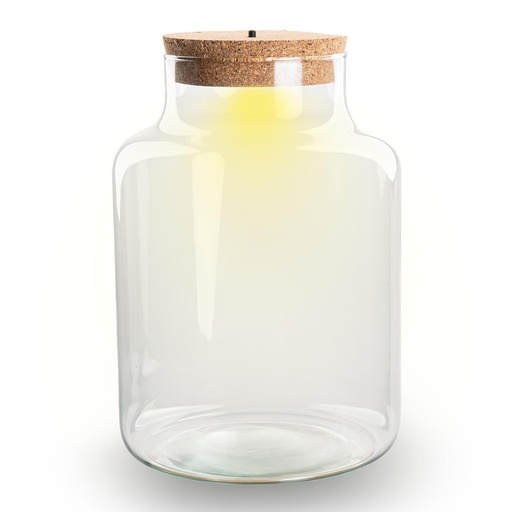 "Flaschengarten mit LED-Licht im Korken - Little Milky Terrarium mit Licht Höhe ca. 24,5 cm - Flaschengarten image"