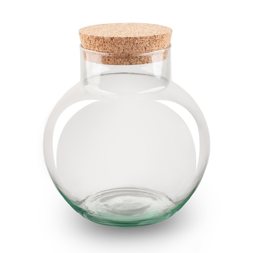 "Flaschengarten-Terrarium mit Kork - Noah - Höhe ca. 20 cm image"