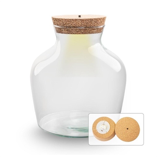 "Terrariumflasche mit Beleuchtung - Little Joe - Ø 20 cm Höhe ca. 22 cm image"