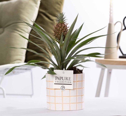 "Ananas Rosita In P&PURE Tirza Keramik - Ø12cm - ↕35cm image"