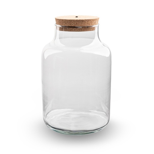 "Terrarium Flasche mit Beleuchtung - Milchig - Ø 21 cm Höhe ca. 30 cm image"