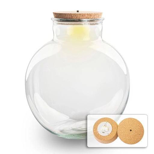 "Terrarium Flasche mit (LED) Korken - Bolder Bob - Ø 30 cm Höhe ca. 31 cm - Mit LED-Korken image"