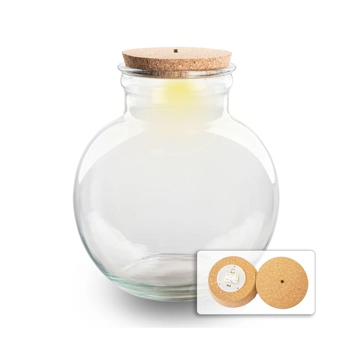 "Terrarium Flasche (mit) Beleuchtung - Teddy - Ø 25 cm Höhe ca. 26,5 cm - Mit LED-Korken image"