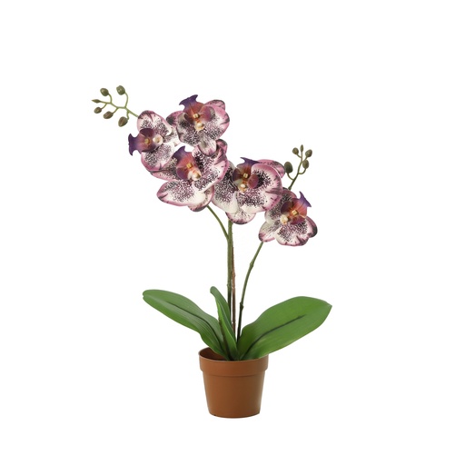 "Künstliche Phalaenopsis-Orchidee lila - 41cm image"