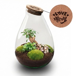 'LOVE MOM' terrarium Drop XL + gravierter Kork - Flaschengarten DIY Set – Ø 24 c