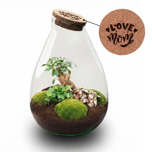 "'LOVE MOM' terrarium Drop XL + gravierter Kork - Flaschengarten DIY Set – Ø 24 cm Höhe ca. 37 cm - Muttertag image"