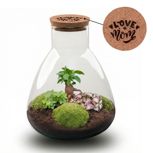 "'LOVE MOM' Terrarium Sam + gravierter Kork mit Licht - Flaschengarten DIY Set - Ø 24.5 cm Höhe ca. 30 cm - Muttertag image"