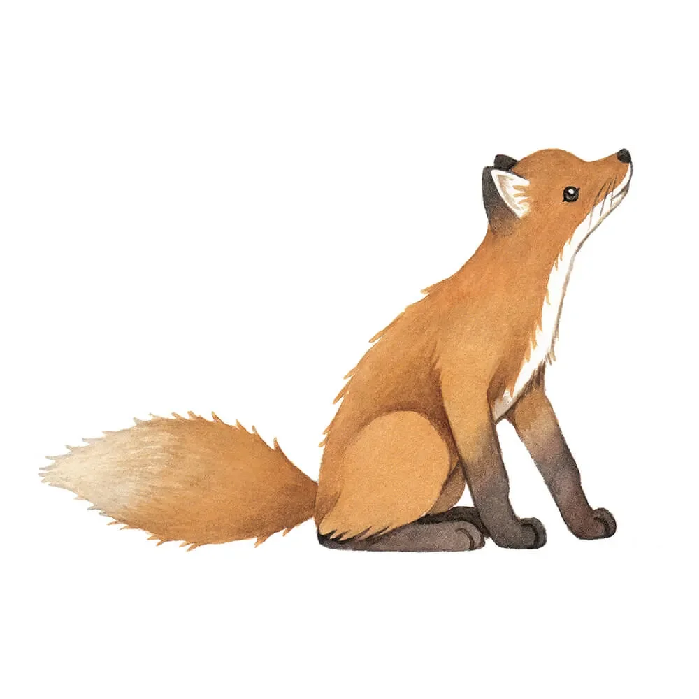 "Lilipinso Wandsticker großer Fuchs orange image"