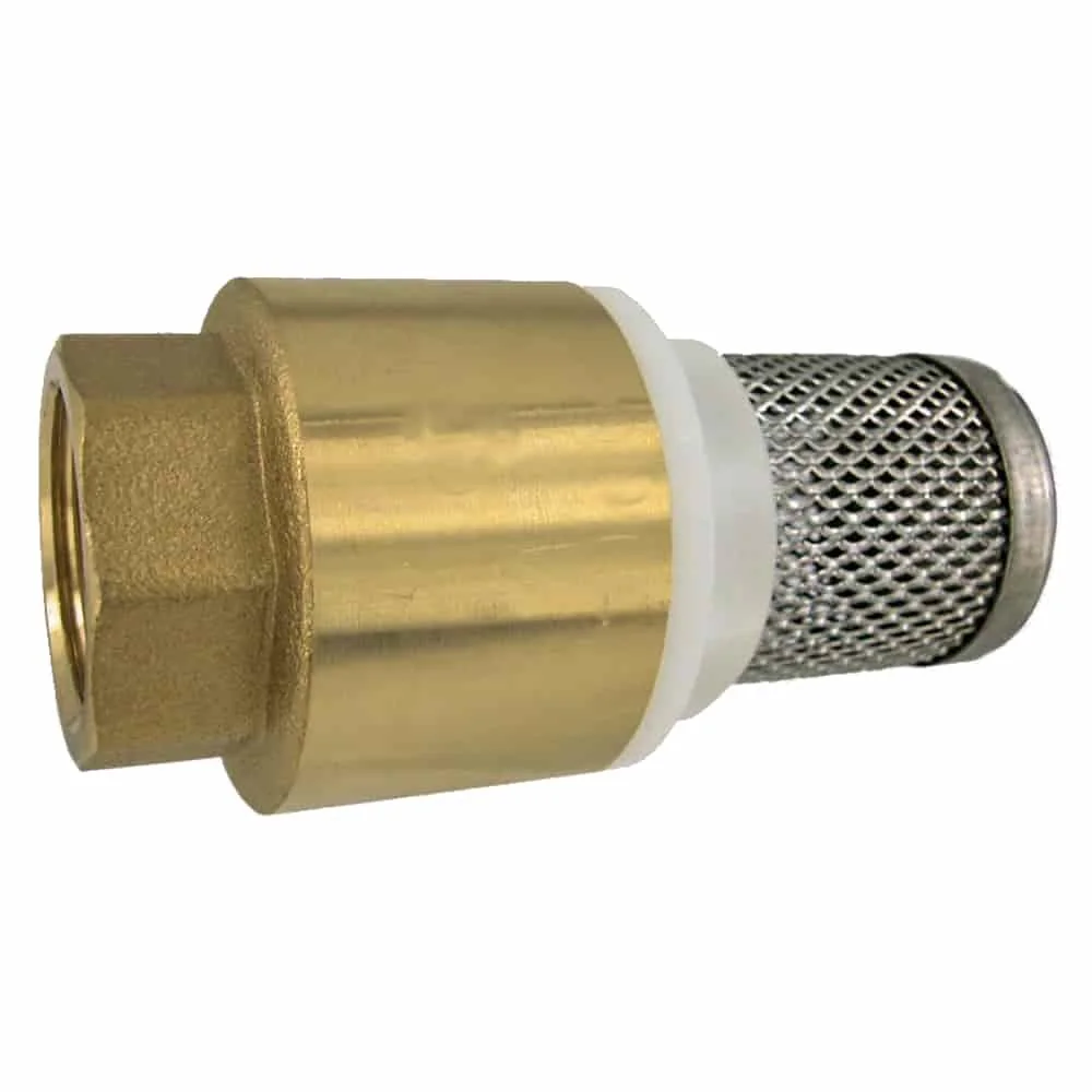 "Saugkorb 1 1/2 Zoll, Rückschlagventil, Messing Fußventil, Edelstahl image"