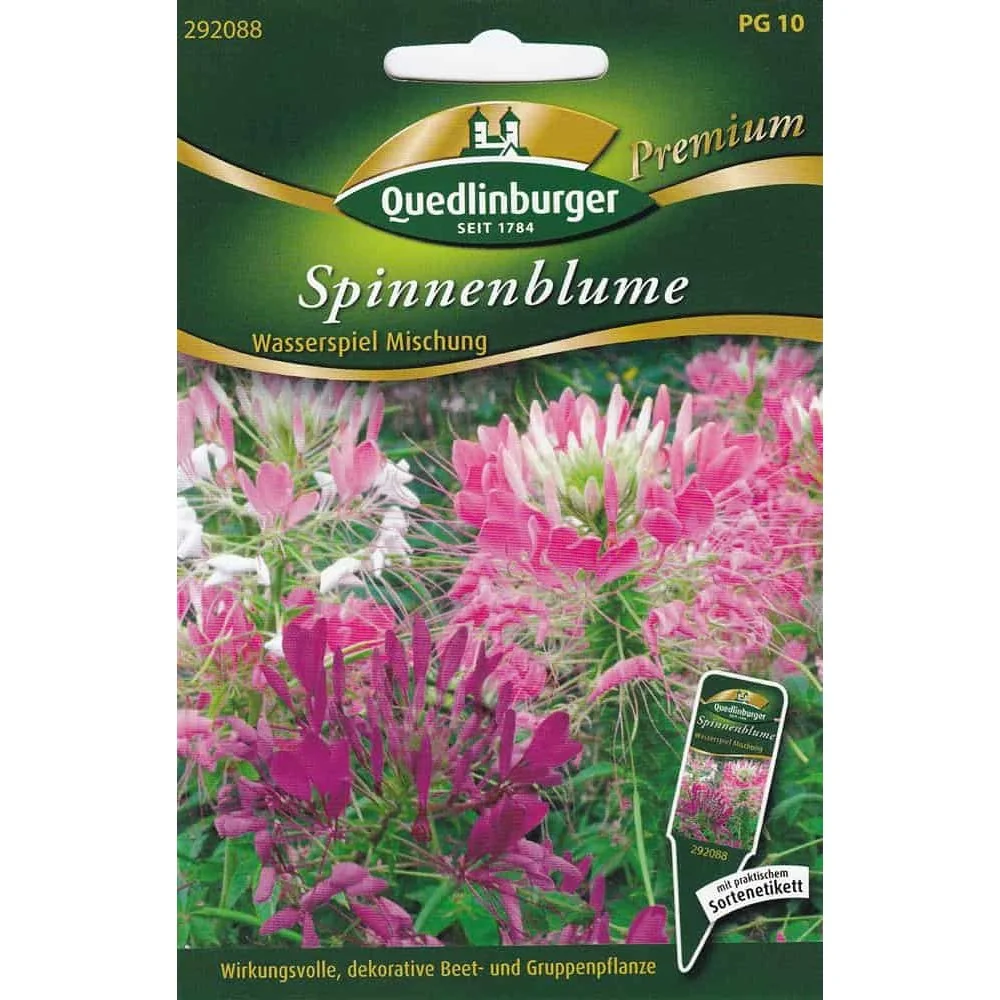 "Spinnenblume, Wasserspiel Mischung image"