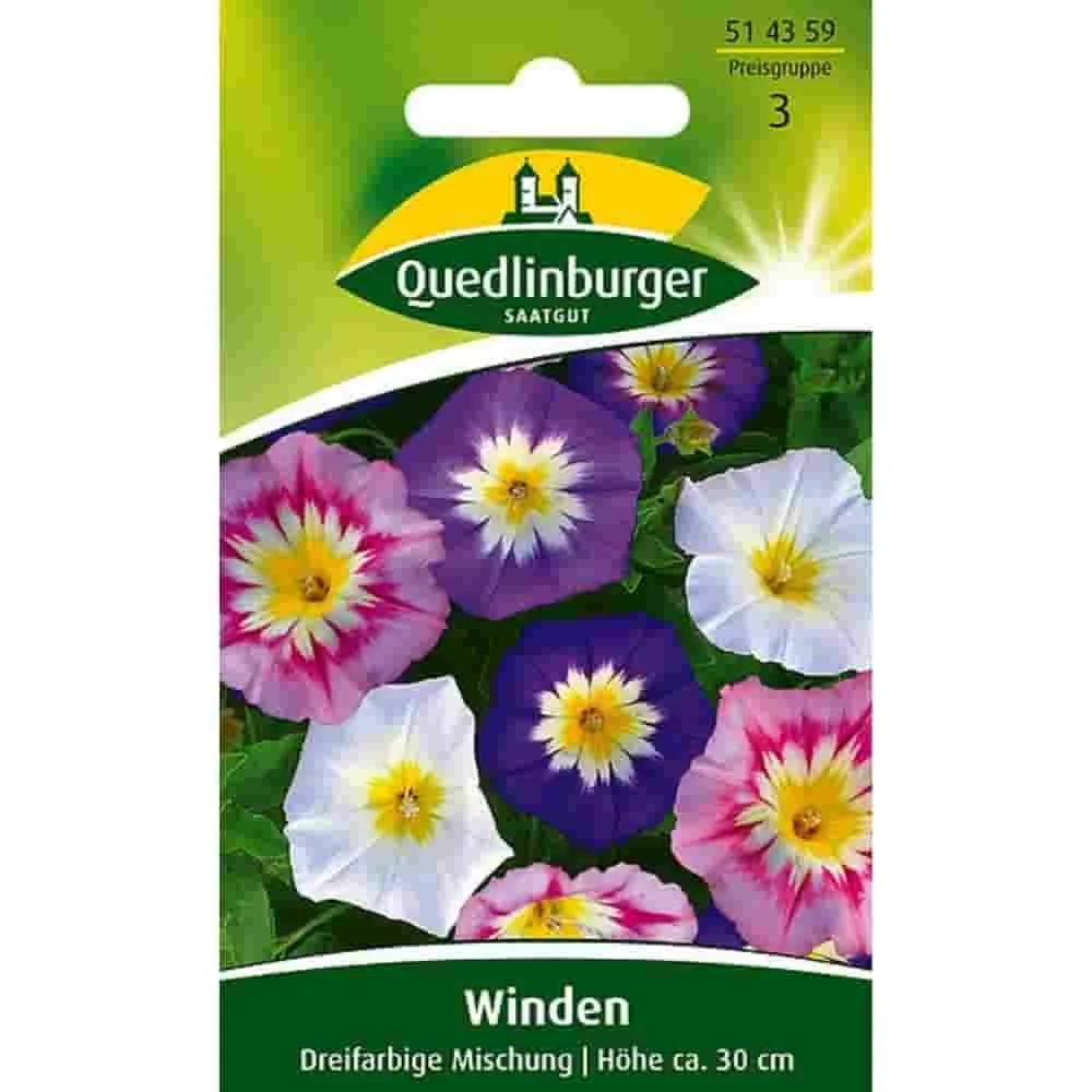 "Winde kaufen, Sommerwinde, Dreifarbige Mischung, einjährig image"