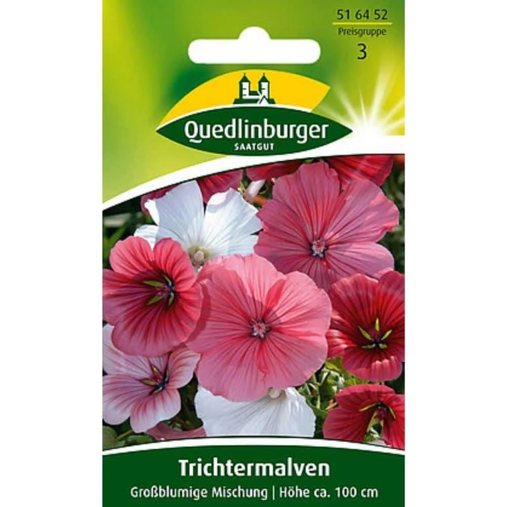 "Trichtermalve Saatgut, Malve, Sommerblumen für Ihren Garten image"