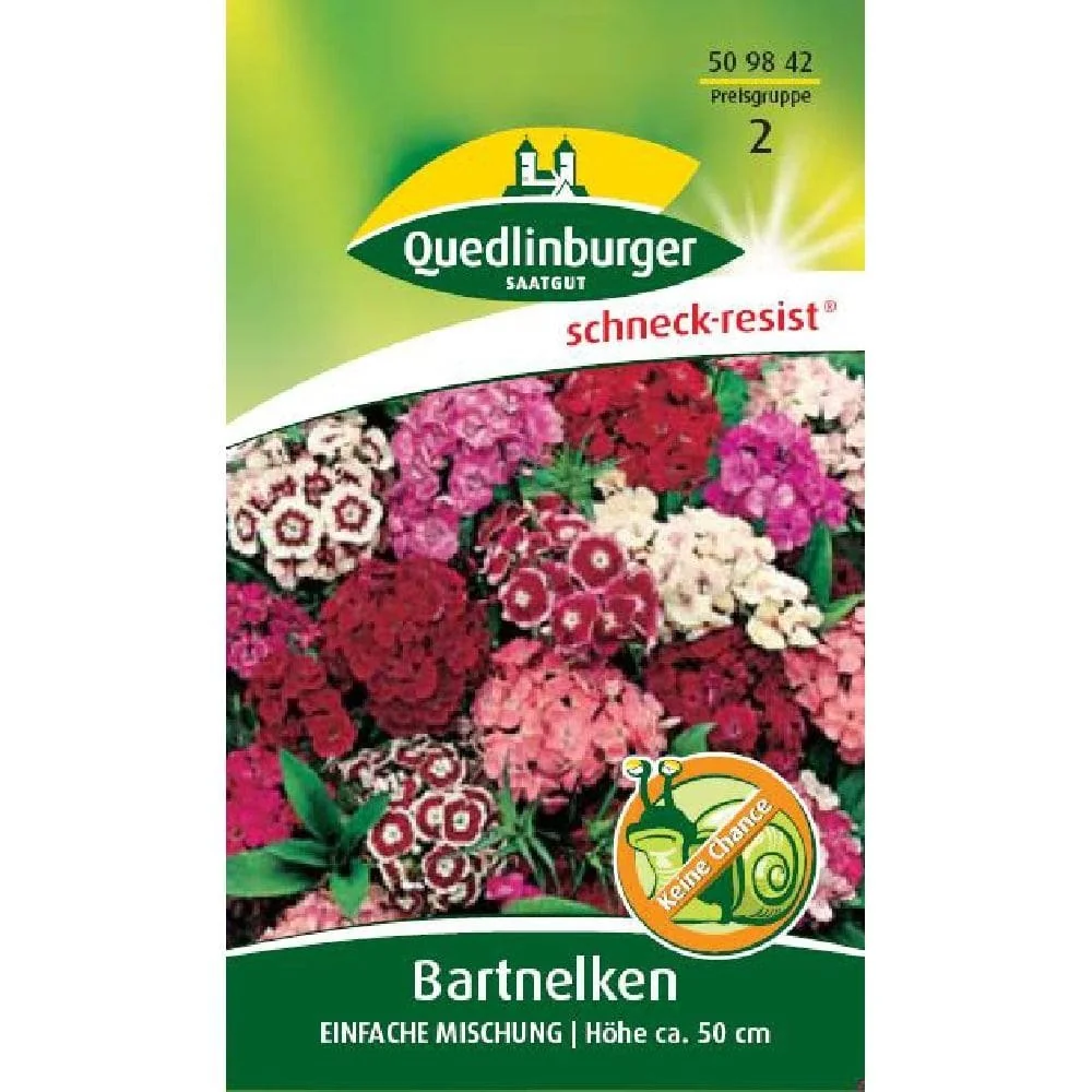 "Bartnelke Samen, Blumensamen image"