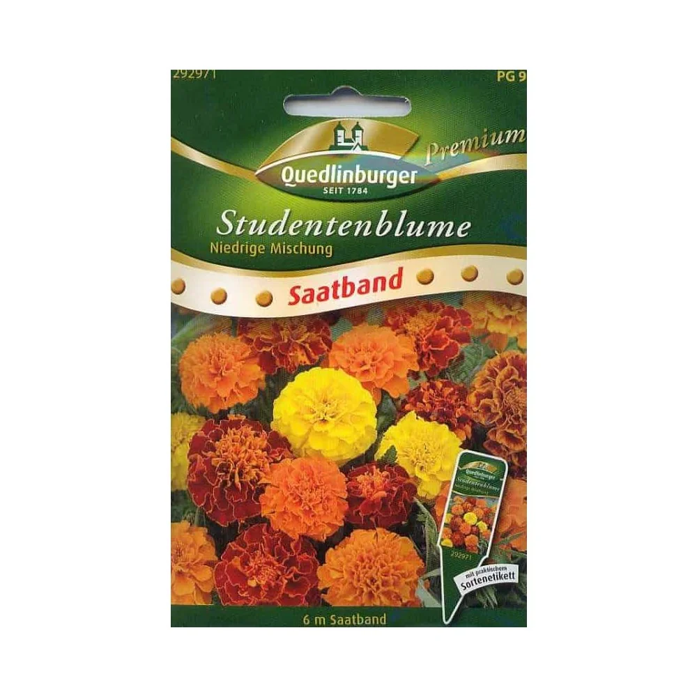"Saatband Studentenblumen, niedrige Mischung image"