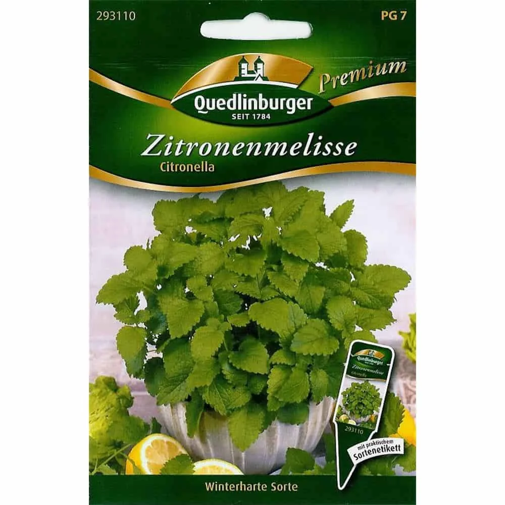 Zitronenmelisse, Zitronenmelisse Pflanzen, Citronella Pflanze, mehrjährige Kräuter