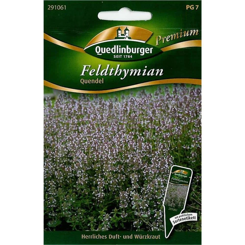 "Feldthymian, Quendel, Thymian kaufen, mehrjährig image"