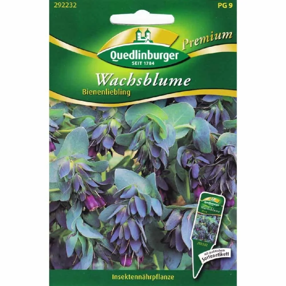 "Wachsblumen, Bienenliebling image"