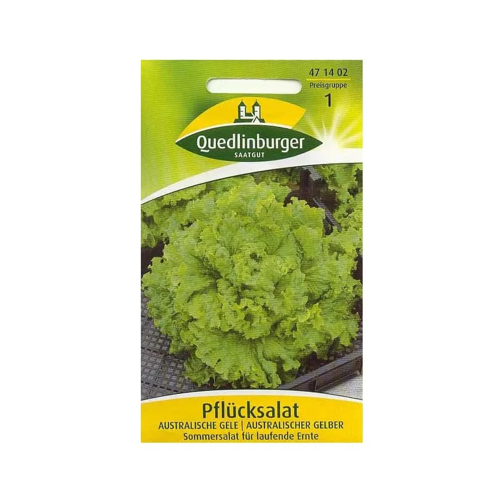 Pflücksalat Samen, Australische Gele, Salatsamen