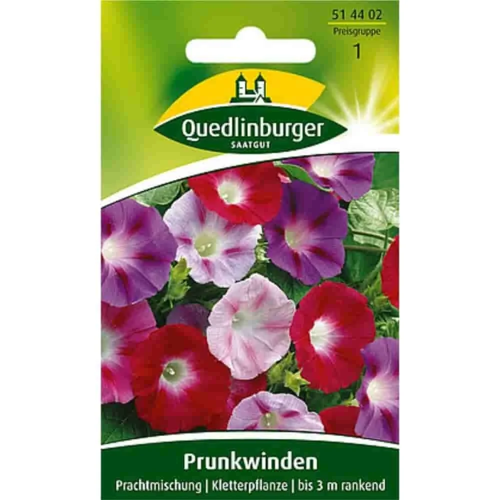 "Prunkwinden Samen, Prunkwinde kaufen, schnellwachsende Kletterpflanze image"