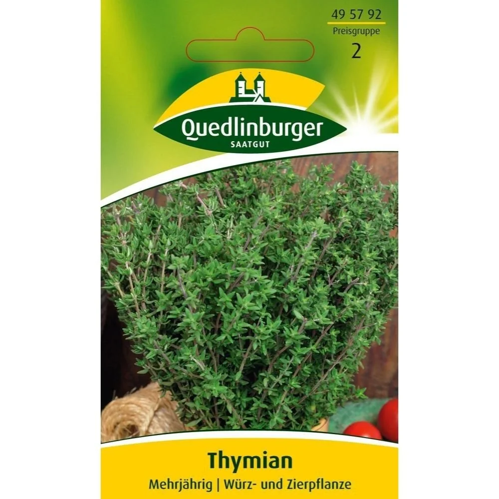 "Thymian, mehrjährig image"